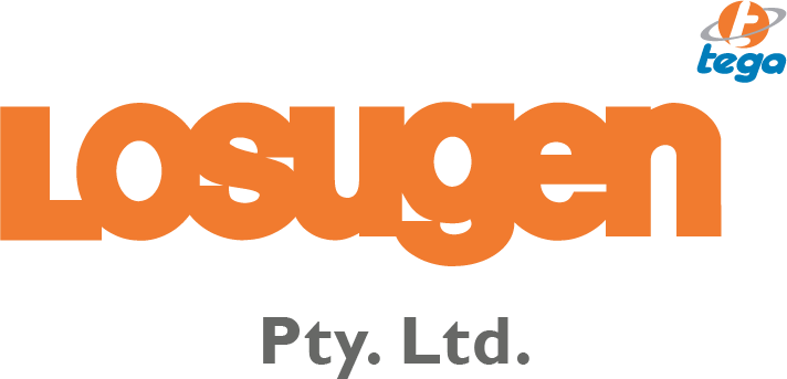 Tega Losugen — Partnerships in Practice