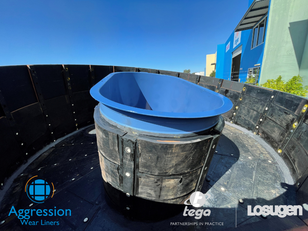 Image module
